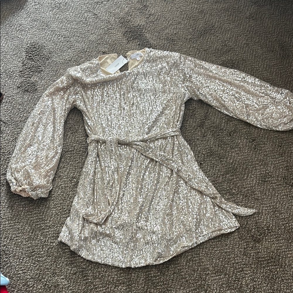Silver Asymmetrical Bishop Sleeve Shirt Dress for Work